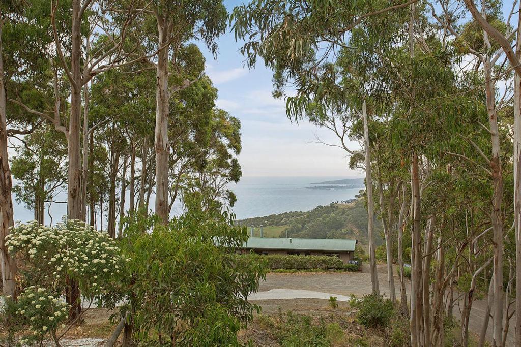 Beacon Point Ocean View Villas Skenes Creek Exterior foto